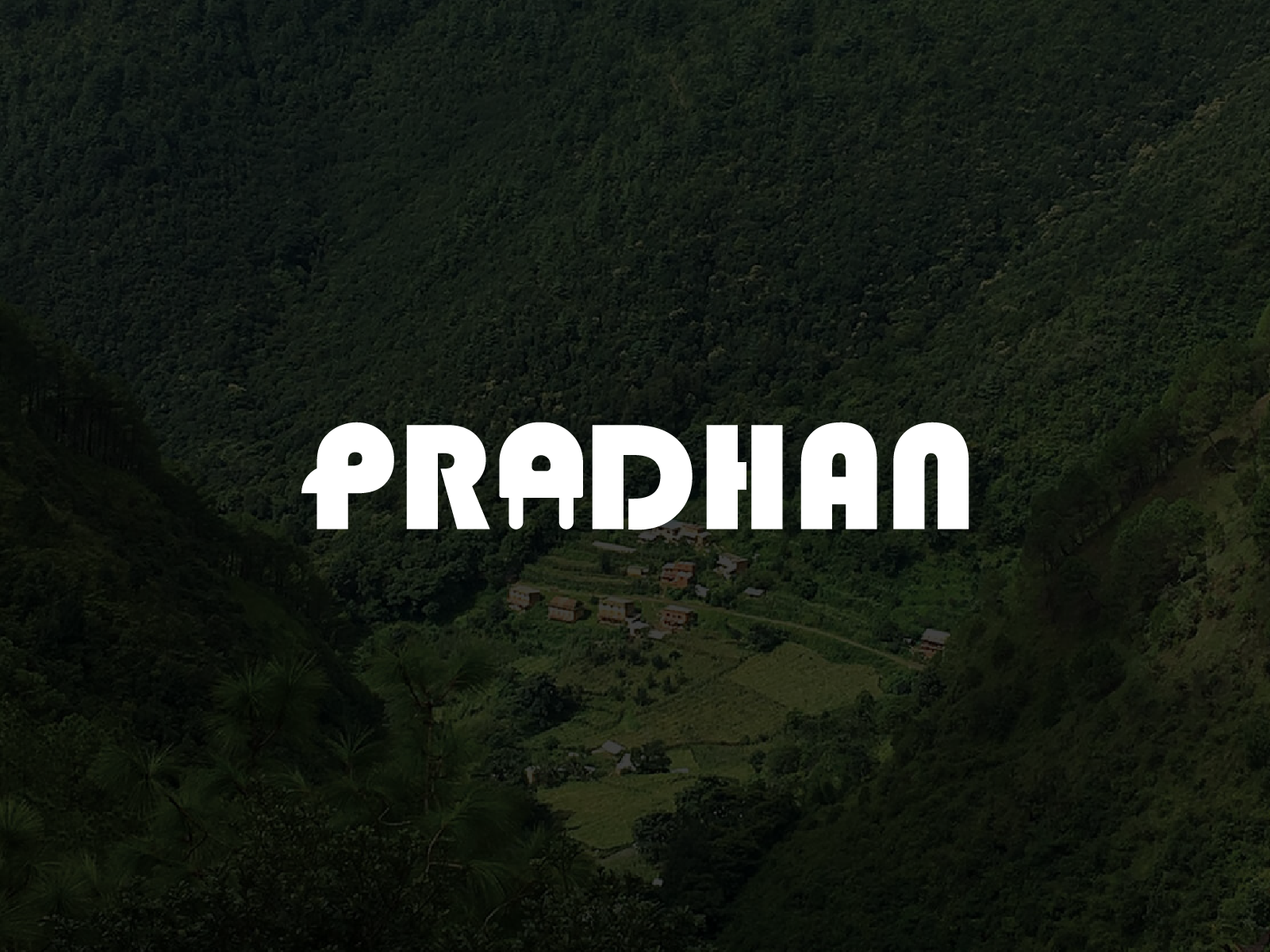 Pradhan Electronics logo